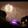 Disney 438