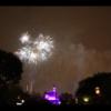 Disney 459