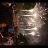 Disney 485