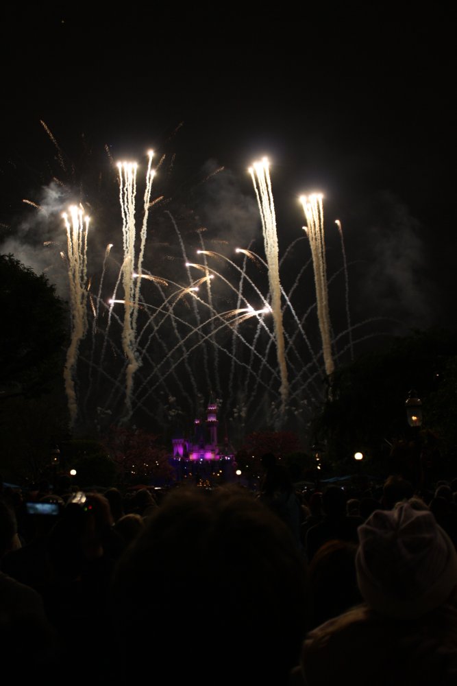 Disney 488