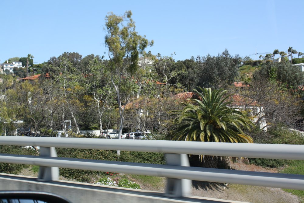San Diego 232