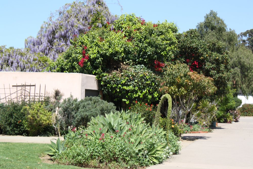 San Diego 237