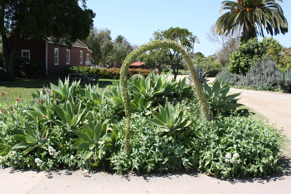 San Diego 238