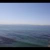 Venice Beach 019
