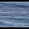 Venice Beach 035