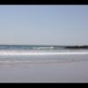 Venice Beach 095