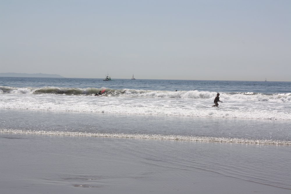 Venice Beach 096