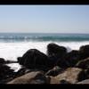 Venice Beach 112