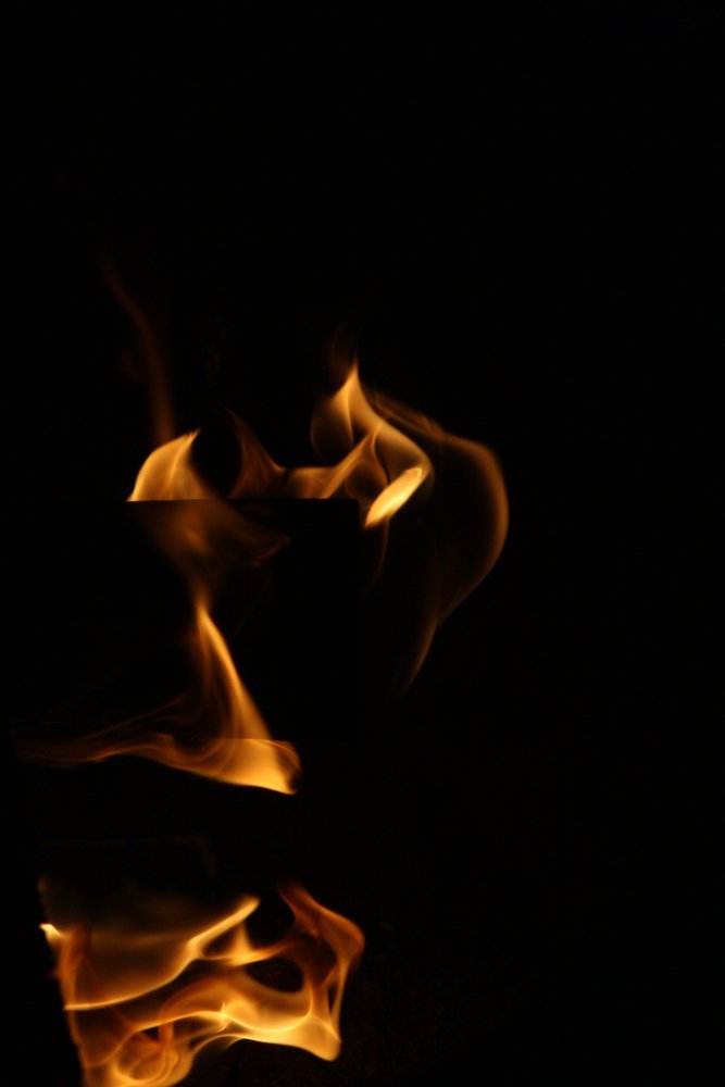 IMG_6276