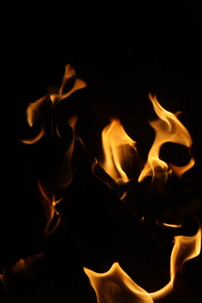 IMG_6327