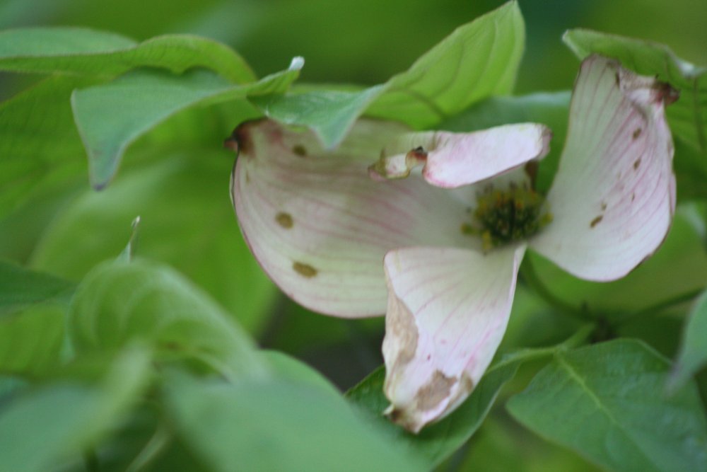 2012-05-10-173251