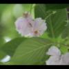 2012-05-10-173637