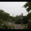 Central Park