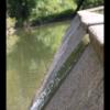 20150826132947_IMG_1599