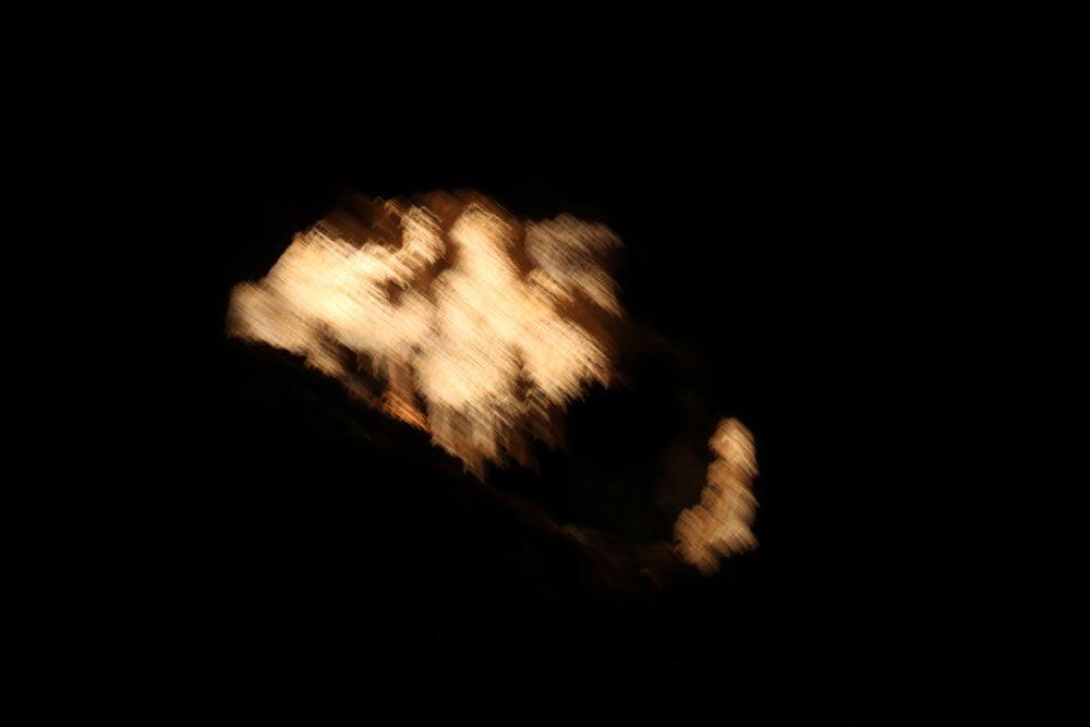IMG_3418