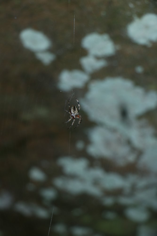 IMG_5401