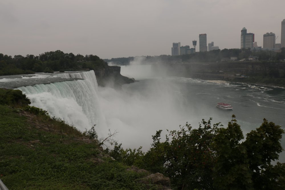 IMG_5726