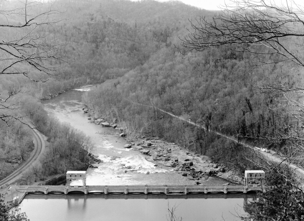 EPSON scanner image