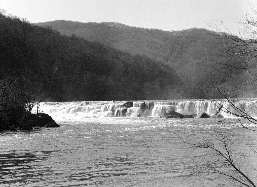 EPSON scanner image