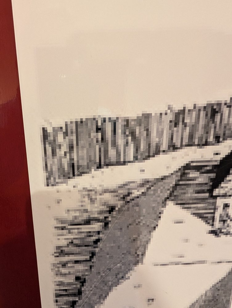 PXL_20250317_202035427